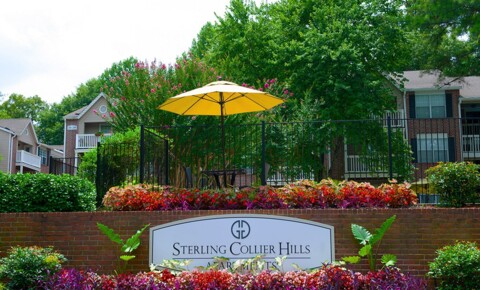 Apartments Near Emory Sterling Collier Hills Apartments for Emory University Students in Atlanta, GA