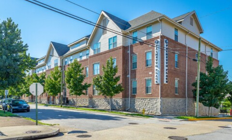 Apartments Near Chattanooga College Medical Dental and Technical Careers Palmetto Place for Chattanooga College Medical Dental and Technical Careers Students in Chattanooga, TN