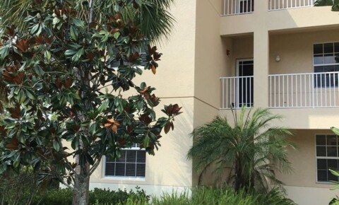 Apartments Near Heritage Institute-Ft Myers Palazzo Perfection for Heritage Institute-Ft Myers Students in Fort Myers, FL