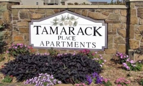 Apartments Near Tulsa Tamarack Apartments for Tulsa Students in Tulsa, OK