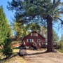 Cottage Style Home Nestled in the Trees!!!  (Lakehead)