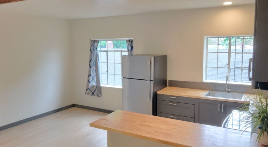 Sunnyside/Belmont 3rd Flr Studio with Garage - Modern Upgrades in a Character-Rich Building