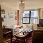 No-Fee Light-Filled Fully Furnished Pet-Friendly Quiet 1-Bed