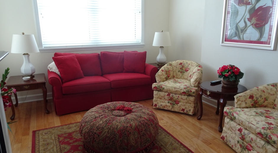 SHORT TERM TURNKEY FURNISHED DOWNTOWN AT THE RENAISSANCE