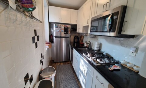 Apartments Near BU Furnished - Cleveland Circle - Close to T - Laundry Facility for Boston University Students in Boston, MA
