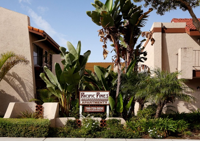 Apartments Near Pacific Pines