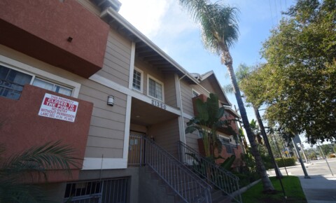 Apartments Near Pepperdine 21350 for Pepperdine University Students in Malibu, CA