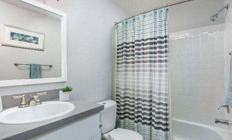Apartments Near Tampa 4003 S West Shore Boulevard for Tampa Students in Tampa, FL