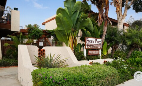 Apartments Near MiraCosta Pacific Pines for Mira Costa College Students in Oceanside, CA