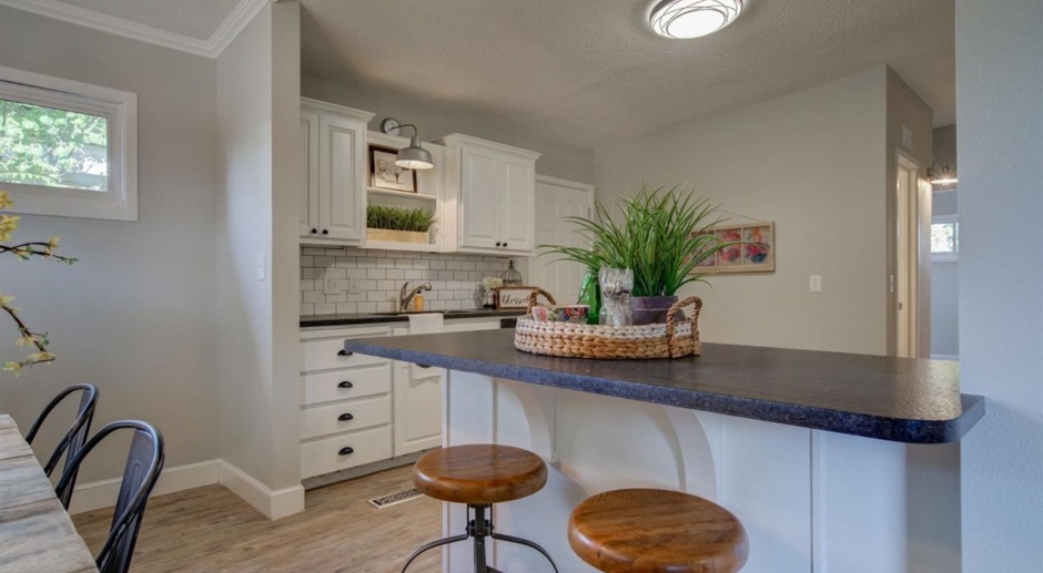 Pre-leasing for Summer/Fall! Gorgeous Remodeled Home in Central Lubbock