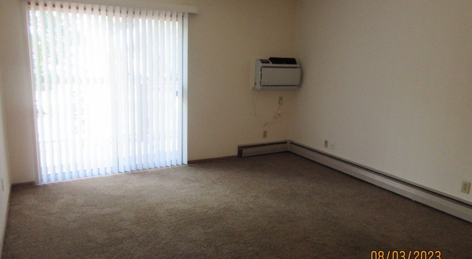 Available April Beautiful Large 1 Bedroom Upper Apartment- Free Heat!