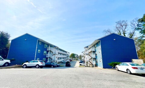 Apartments Near Regent Lake Front Renovated 2 Bed/2 Bath Apartment only 0.3 Miles from Public Beach Access! for Regent University Students in Virginia Beach, VA