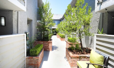 Apartments Near WMU Cape Cod Garden for World Mission University Students in Los Angeles, CA