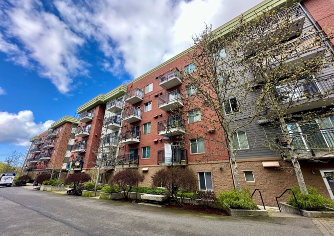 Apartments Near Ready Now! 1 Bedroom Condo located in Downtown Bellingham! 