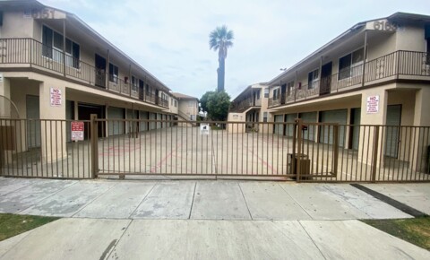 Apartments Near CSU Long Beach 6151 for Cal State Long Beach Students in Long Beach, CA