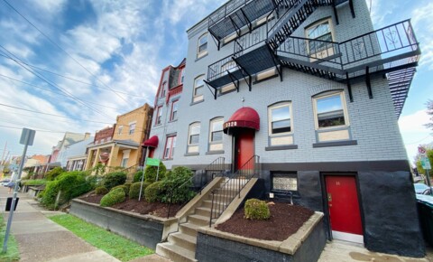 Apartments Near Duquesne Bright 2BR in Oakland - Close to the University of Pittsburgh! Air Conditioning & On-site Laundry! Call us Today! for Duquesne University Students in Pittsburgh, PA