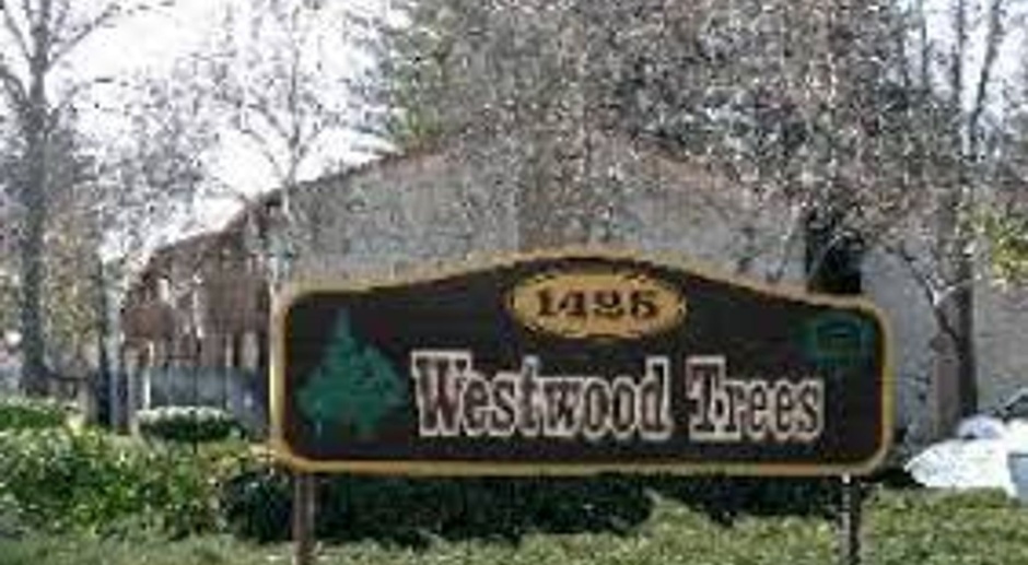 034 - Westwood Trees
