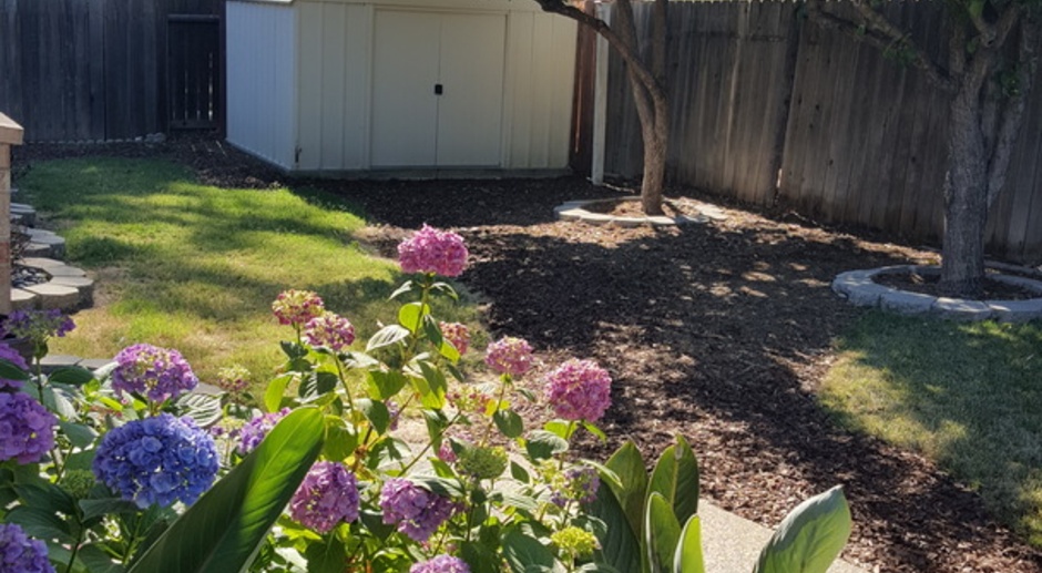 South Natomas One Story Great Location 4 bed 2 bath Includes Gardner