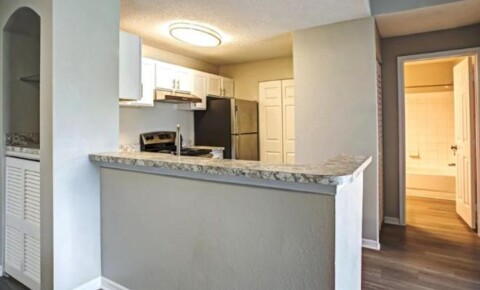 Apartments Near Everest University-Tampa 3602 Carrollwood Place for Everest University-Tampa Students in Tampa, FL
