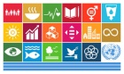 The UN Sustainable Development Goals: an Interdisciplinary Academic Introduction