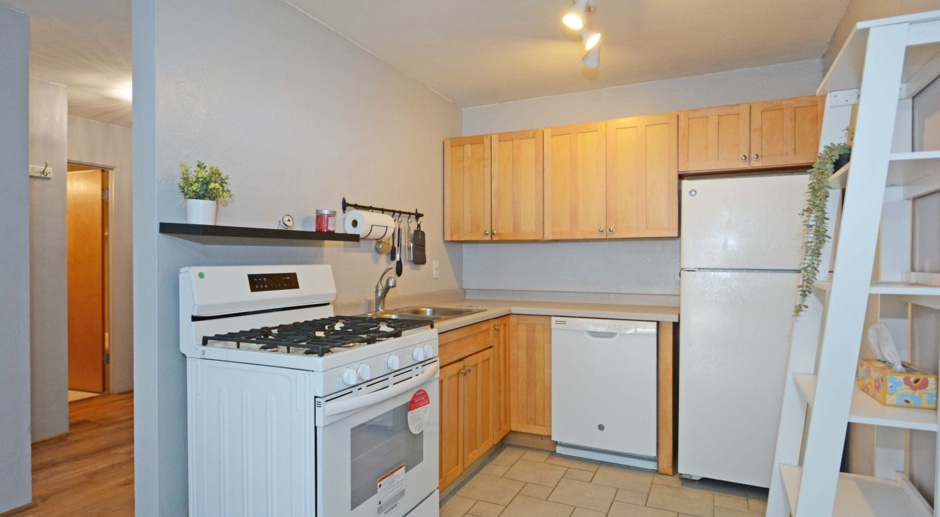 1 Bed, 1 Bath Condo in Minneapolis - Available Now!
