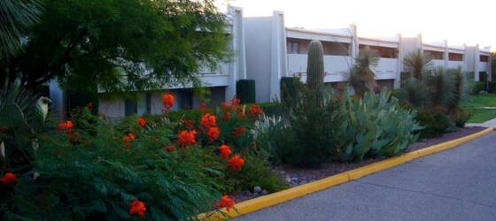 Pima Community College- West Housing Fully Furnished Big Beautiful  2Bd/2Ba Condo W/D for Pima Community College- West Students in Tucson, AZ