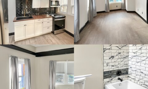 Apartments Near Johnson City BRAND NEW 1 BR Unit. Walkable to UHS hospital. Come Join the NEW downtown Johnson City for Johnson City Students in Johnson City, NY