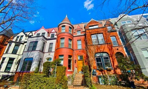 Apartments Near District of Columbia Incredible Find! Stylish Furnished 1 bed 1 bath Lower Level Apt in Logan with Patio for District of Columbia Students in , DC
