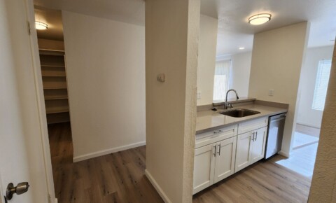 Apartments Near Cal State East Bay Bristol Manor for California State University-East Bay Students in Hayward, CA