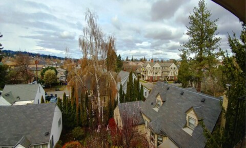 Apartments Near Northwest Christian 738 East 16th Ave for Northwest Christian College Students in Eugene, OR