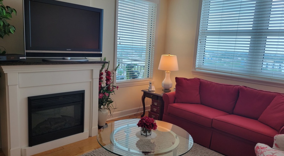 SHORT TERM TURNKEY FURNISHED DOWNTOWN AT THE RENAISSANCE