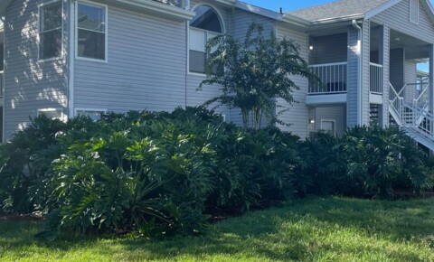 Apartments Near Golf Academy of America-Altamonte Springs AVAILABLE NOW - 2 Bedroom Condo in the Gated Community of Regency Park for Golf Academy of America-Altamonte Springs Students in Apopka, FL