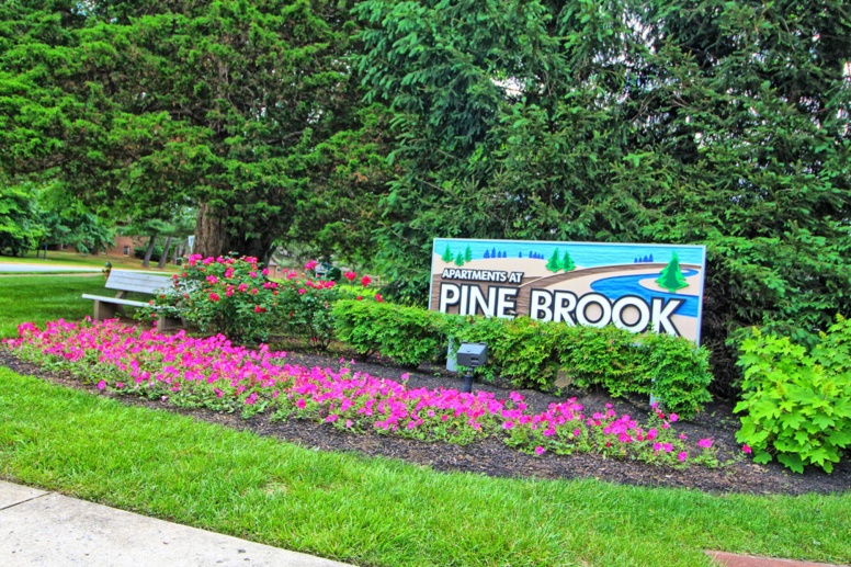 Apartments at Pine Brook