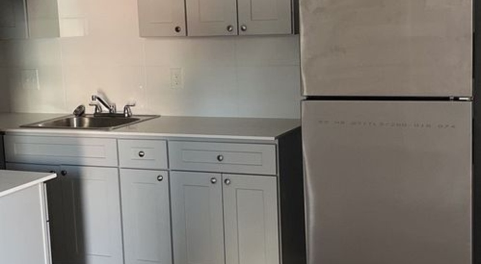 Renovated 1 bed 1 bath 