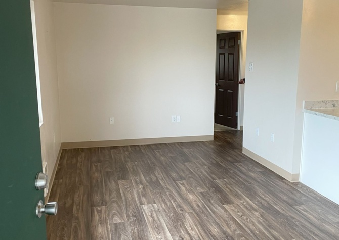 Apartments Near Renovated 1 bed, near shopping and Light Rail!  Ready now!