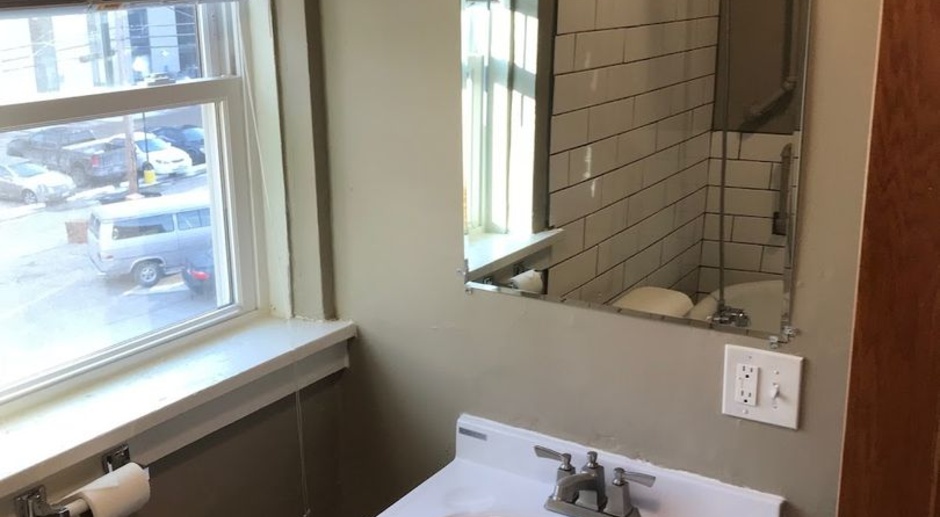 Great Downtown 1 Bedroom Apartment