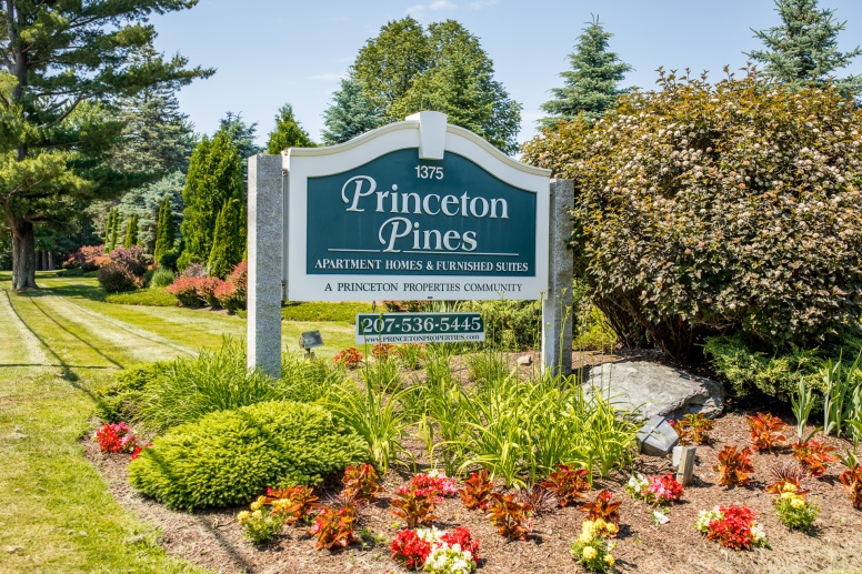 Princeton Pines