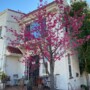 2 bedroom 1 bath   Surrounded fruit trees and flowers.