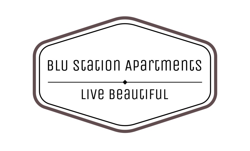 BLU Station Apartments
